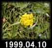 1999.04.10