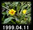 1999.04.11