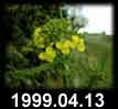1999.04.13