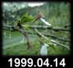 1999.04.14