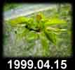 1999.04.15