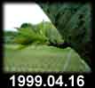 1999.04.16
