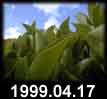 1999.04.17