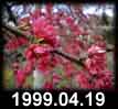 1999.04.19