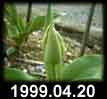 1999.04.20
