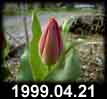 1999.04.21