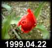 1999.04.22