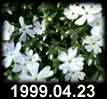 1999.04.23