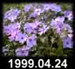 1999.04.24
