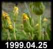 1999.04.25