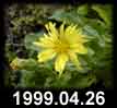 1999.04.26