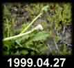 1999.04.27