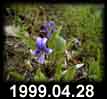 1999.04.28