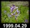1999.04.29