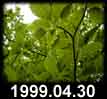 1999.04.30