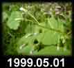 1999.05.01