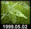 1999.05.02