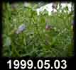 1999.05.03