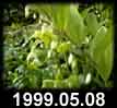 1999.05.08