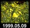 1999.05.09