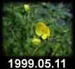 1999.05.11