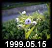 1999.05.15