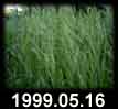 1999.05.16