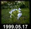 1999.05.17