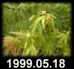 1999.05.18