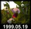 1999.05.19