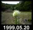 1999.05.20