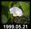 1999.05.21