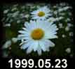 1999.05.23