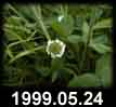 1999.05.24