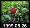 1999.05.26