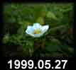 1999.05.27