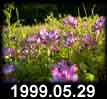 1999.05.29