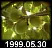 1999.05.30
