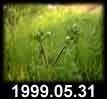 1999.05.31