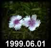 1999.06.01