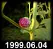 1999.06.04