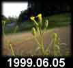 1999.06.05