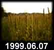 1999.06.07