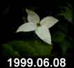 1999.06.08