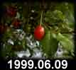 1999.06.09