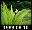 1999.06.10