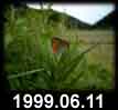 1999.06.11