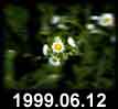 1999.06.12