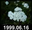 1999.06.16