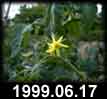 1999.06.17